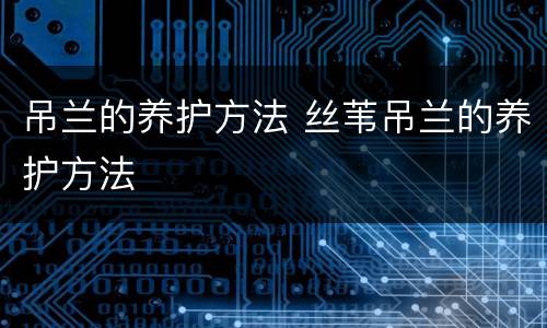 吊兰的养护方法 丝苇吊兰的养护方法