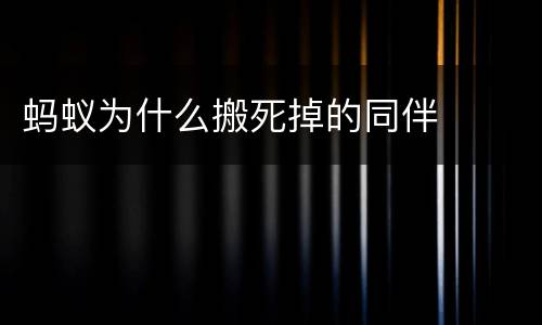 蚂蚁为什么搬死掉的同伴