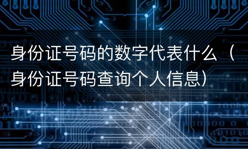 身份证号码的数字代表什么（身份证号码查询个人信息）