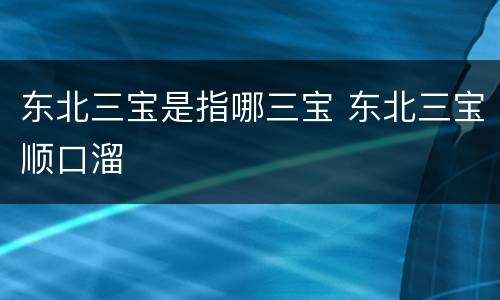 东北三宝是指哪三宝 东北三宝顺口溜
