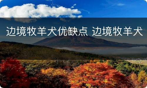 边境牧羊犬优缺点 边境牧羊犬