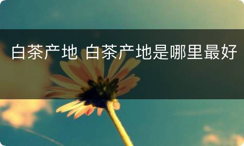 白茶产地 白茶产地是哪里最好