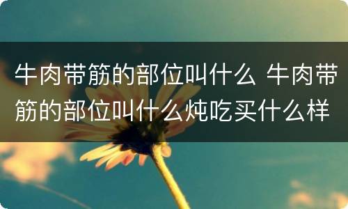 牛肉带筋的部位叫什么 牛肉带筋的部位叫什么炖吃买什么样的