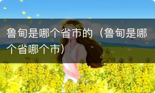 鲁甸是哪个省市的（鲁甸是哪个省哪个市）