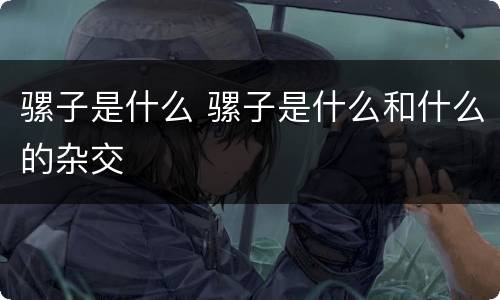 骡子是什么 骡子是什么和什么的杂交