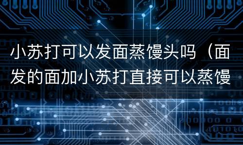 小苏打可以发面蒸馒头吗（面发的面加小苏打直接可以蒸馒头吗?）