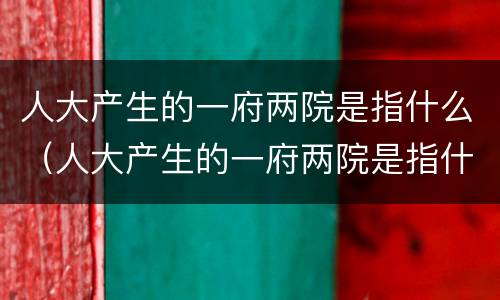 人大产生的一府两院是指什么（人大产生的一府两院是指什么什么）