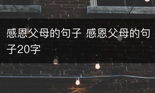 感恩父母的句子 感恩父母的句子20字