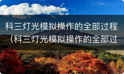 科三灯光模拟操作的全部过程（科三灯光模拟操作的全部过程文字）