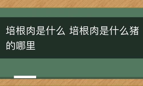 培根肉是什么 培根肉是什么猪的哪里