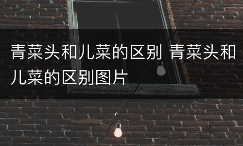 青菜头和儿菜的区别 青菜头和儿菜的区别图片