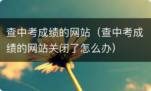 查中考成绩的网站（查中考成绩的网站关闭了怎么办）