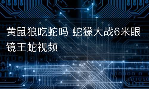 黄鼠狼吃蛇吗 蛇獴大战6米眼镜王蛇视频
