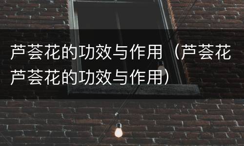 芦荟花的功效与作用（芦荟花芦荟花的功效与作用）