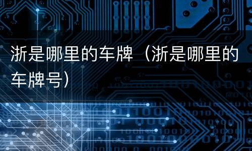 浙是哪里的车牌（浙是哪里的车牌号）