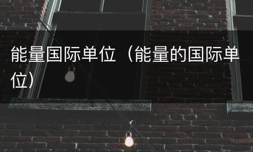 能量国际单位（能量的国际单位）