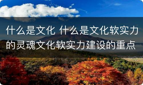 什么是文化 什么是文化软实力的灵魂文化软实力建设的重点