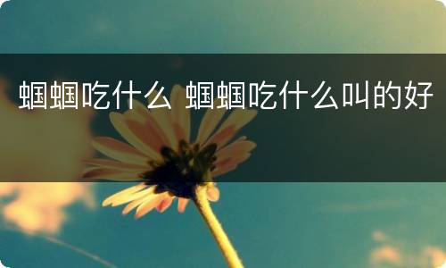 蝈蝈吃什么 蝈蝈吃什么叫的好