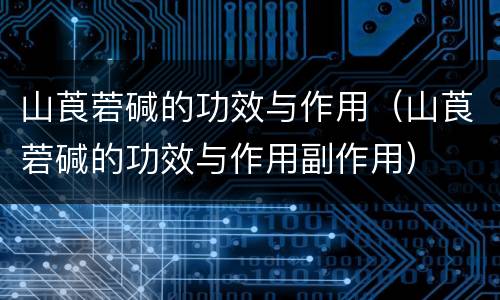 山莨菪碱的功效与作用（山莨菪碱的功效与作用副作用）