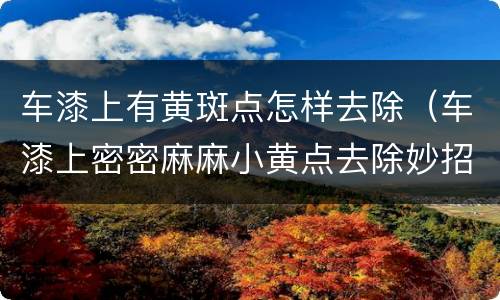 车漆上有黄斑点怎样去除（车漆上密密麻麻小黄点去除妙招）