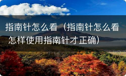 指南针怎么看（指南针怎么看 怎样使用指南针才正确）