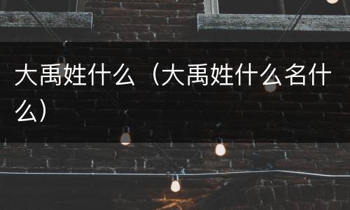 大禹姓什么（大禹姓什么名什么）