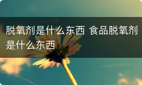 脱氧剂是什么东西 食品脱氧剂是什么东西