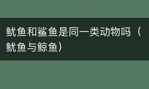 鱿鱼和鲨鱼是同一类动物吗（鱿鱼与鲸鱼）