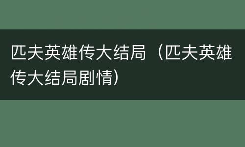 匹夫英雄传大结局（匹夫英雄传大结局剧情）