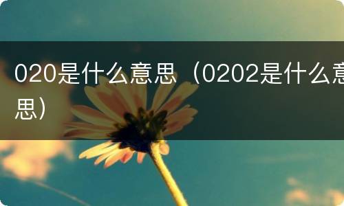 020是什么意思（0202是什么意思）