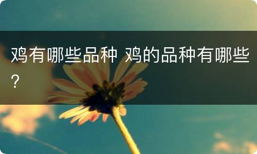 鸡有哪些品种 鸡的品种有哪些?