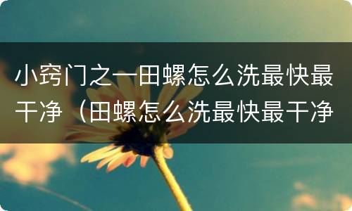 小窍门之—田螺怎么洗最快最干净（田螺怎么洗最快最干净田螺怎么养）
