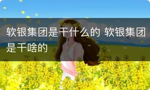 软银集团是干什么的 软银集团是干啥的