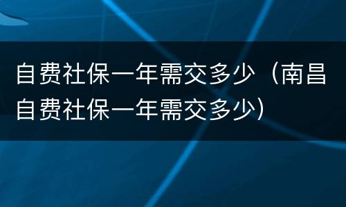 自费社保一年需交多少（南昌自费社保一年需交多少）