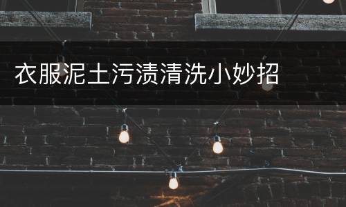 衣服泥土污渍清洗小妙招