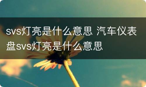 svs灯亮是什么意思 汽车仪表盘svs灯亮是什么意思