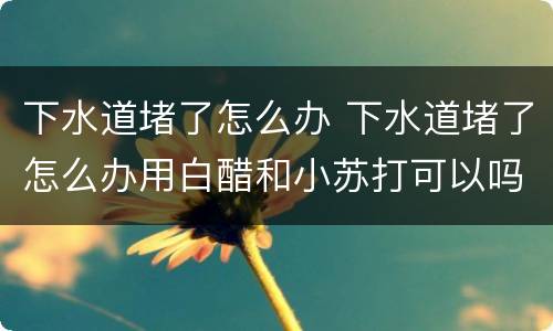 下水道堵了怎么办 下水道堵了怎么办用白醋和小苏打可以吗
