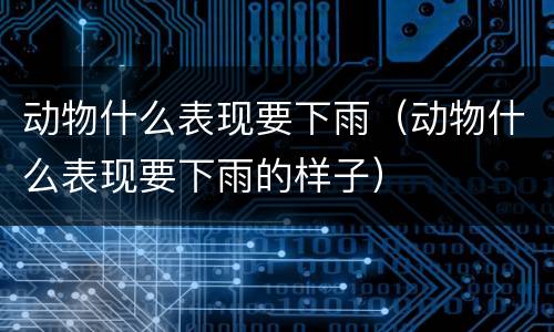 动物什么表现要下雨（动物什么表现要下雨的样子）