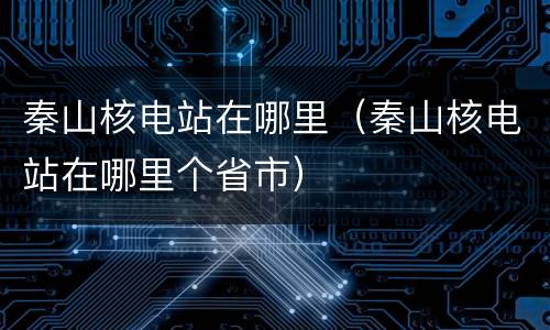 秦山核电站在哪里（秦山核电站在哪里个省市）