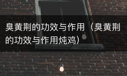 臭黄荆的功效与作用（臭黄荆的功效与作用炖鸡）