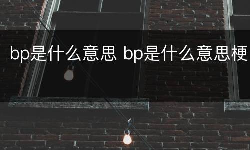 bp是什么意思 bp是什么意思梗