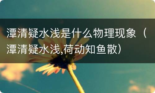 潭清疑水浅是什么物理现象（潭清疑水浅,荷动知鱼散）
