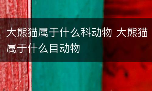 大熊猫属于什么科动物 大熊猫属于什么目动物