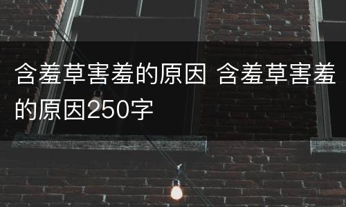 含羞草害羞的原因 含羞草害羞的原因250字