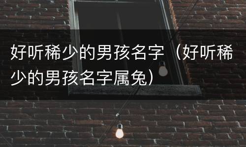 好听稀少的男孩名字（好听稀少的男孩名字属兔）