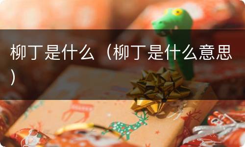 柳丁是什么（柳丁是什么意思）