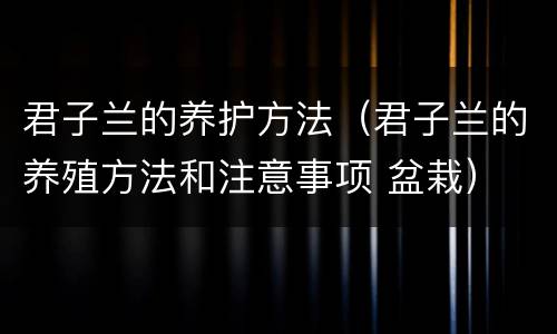 君子兰的养护方法（君子兰的养殖方法和注意事项 盆栽）