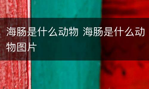 海肠是什么动物 海肠是什么动物图片