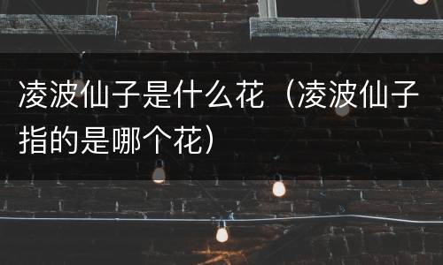 凌波仙子是什么花（凌波仙子指的是哪个花）