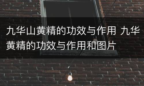九华山黄精的功效与作用 九华黄精的功效与作用和图片